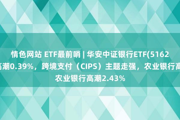 情色网站 ETF最前哨 | 华安中证银行ETF(516210)早盘高潮0.39%，跨境支付（CIPS）主题走强，农业银行高潮2.43%