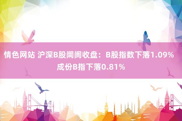 情色网站 沪深B股阛阓收盘：B股指数下落1.09%  成份B指下落0.81%