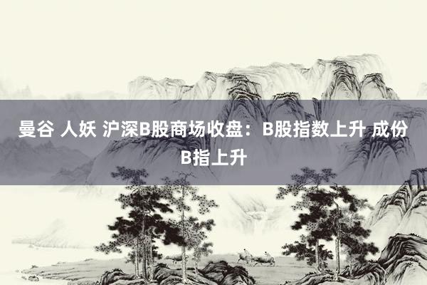 曼谷 人妖 沪深B股商场收盘：B股指数上升 成份B指上升