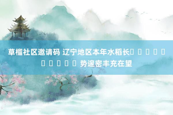 草榴社区邀请码 辽宁地区本年水稻长​​​​​​​​​​势邃密丰充在望