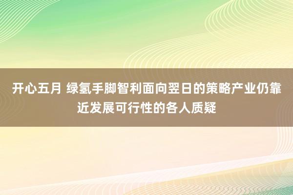 开心五月 绿氢手脚智利面向翌日的策略产业仍靠近发展可行性的各人质疑