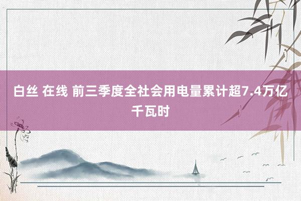 白丝 在线 前三季度全社会用电量累计超7.4万亿千瓦时