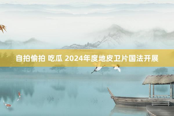 自拍偷拍 吃瓜 2024年度地皮卫片国法开展