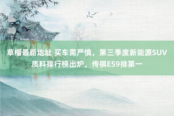 草榴最新地址 买车需严慎，第三季度新能源SUV质料排行榜出炉，传祺ES9排第一