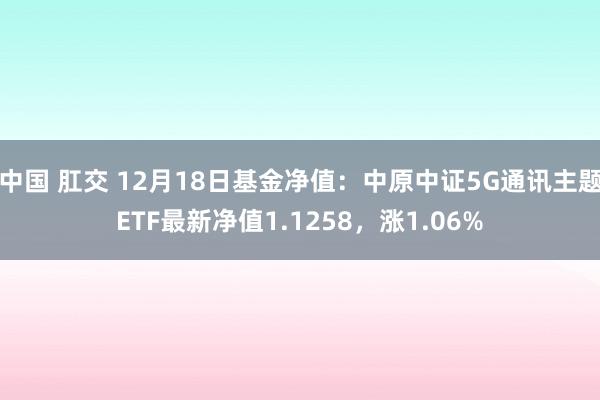 中国 肛交 12月18日基金净值：中原中证5G通讯主题ETF最新净值1.1258，涨1.06%