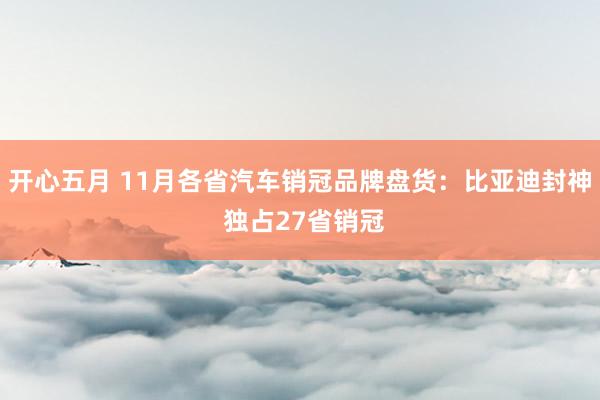 开心五月 11月各省汽车销冠品牌盘货：比亚迪封神 独占27省销冠