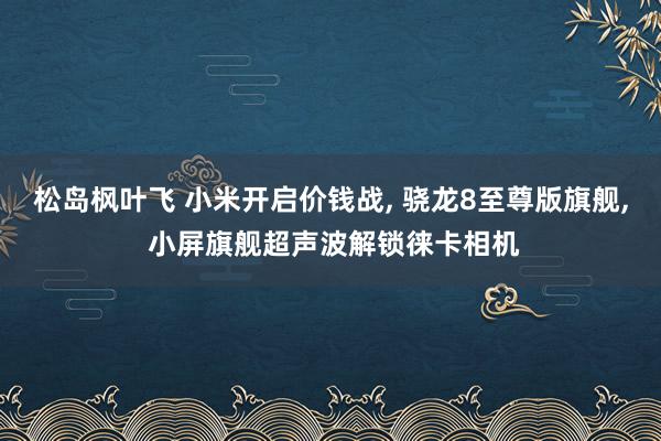 松岛枫叶飞 小米开启价钱战, 骁龙8至尊版旗舰, 小屏旗舰超声波解锁徕卡相机