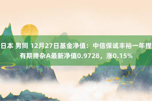 日本 男同 12月27日基金净值：中信保诚丰裕一年捏有期搀杂A最新净值0.9728，涨0.15%