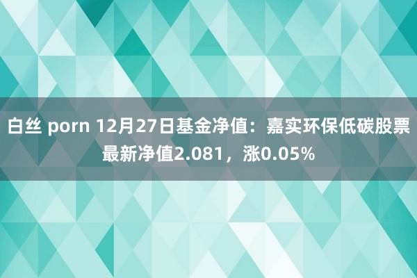 白丝 porn 12月27日基金净值：嘉实环保低碳股票最新净值2.081，涨0.05%