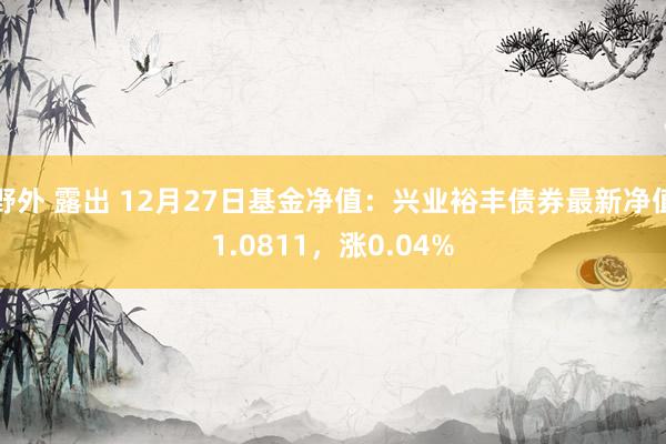 野外 露出 12月27日基金净值：兴业裕丰债券最新净值1.0811，涨0.04%