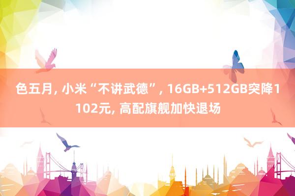 色五月, 小米“不讲武德”, 16GB+512GB突降1102元, 高配旗舰加快退场