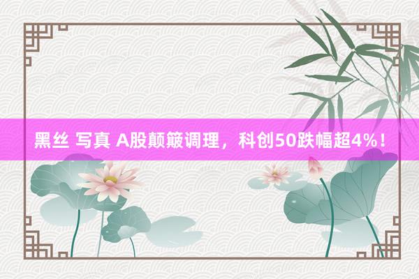 黑丝 写真 A股颠簸调理，科创50跌幅超4%！