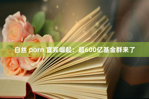 白丝 porn 宜宾崛起：超600亿基金群来了