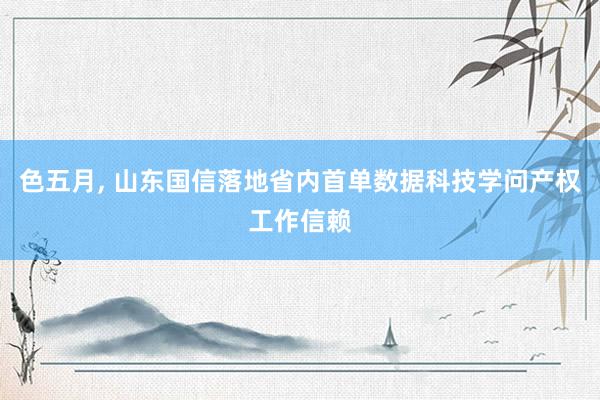 色五月， 山东国信落地省内首单数据科技学问产权工作信赖