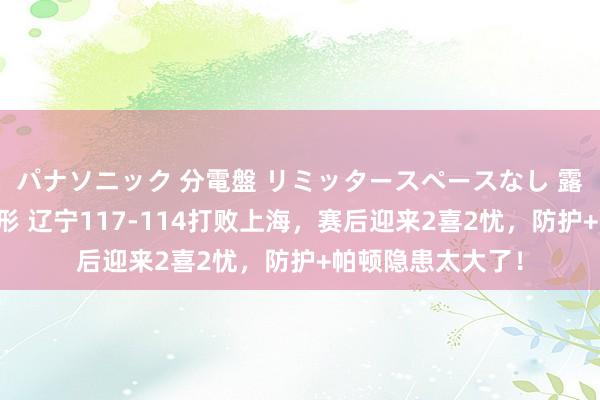 パナソニック 分電盤 リミッタースペースなし 露出・半埋込両用形 辽宁117-114打败上海，赛后迎来2喜2忧，防护+帕顿隐患太大了！