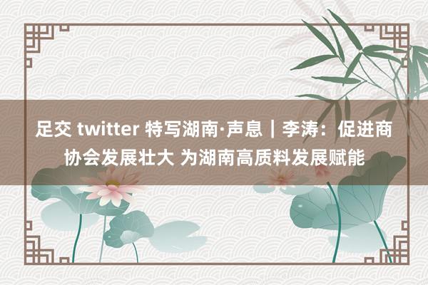 足交 twitter 特写湖南·声息｜李涛：促进商协会发展壮大 为湖南高质料发展赋能