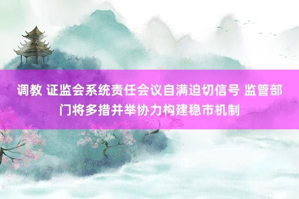 调教 证监会系统责任会议自满迫切信号 监管部门将多措并举协力构建稳市机制