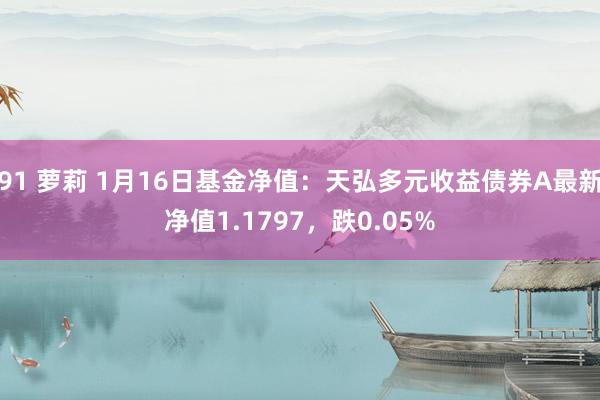 91 萝莉 1月16日基金净值：天弘多元收益债券A最新净值1.1797，跌0.05%